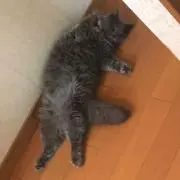 テレサストアの画像