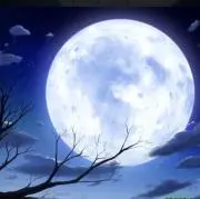 月の画像