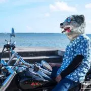 mwam 11