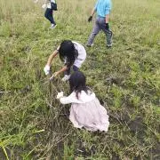 aoimamaの画像