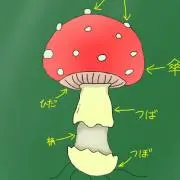 こもぎの画像