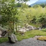 hea
