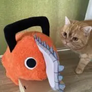 yooの画像