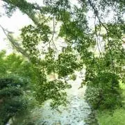 aruru