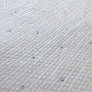 ribの画像
