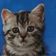 くぅ〜〜