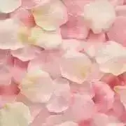sara♡の画像