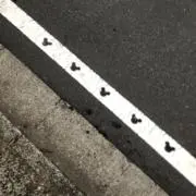 ちっちの画像
