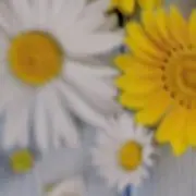 たんぽぽの画像