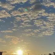 りんの画像