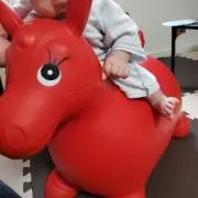 ぽんの画像
