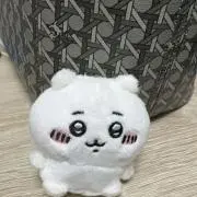 ハルの画像
