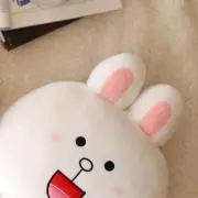にゃんこだま
