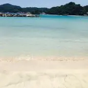 saaacの画像