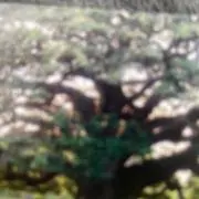 Image of １　6