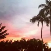 ミントの画像