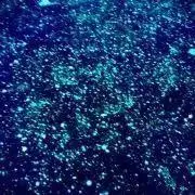 Yuaの画像