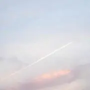 みしぇる❁⃘*.゜プロフ必読