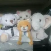 2PMの画像