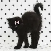__4xqlle