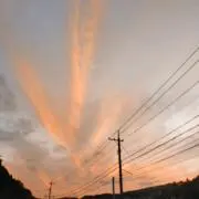 なおの画像