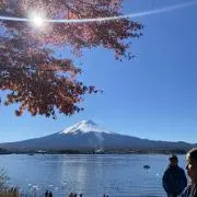 世界