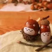 どんぐりの画像