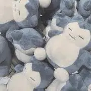 かきたの画像