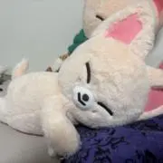 うっかーの画像