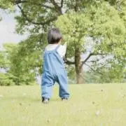 aryの画像