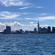 まっちぃーの画像