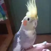 ちぃ※断捨離中プロフ確認必須の画像