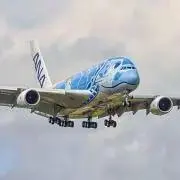 抹茶の画像
