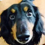 チャンミン♡割引は2点目から♡