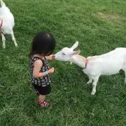 みゆ