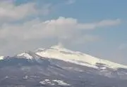 オギの画像