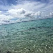liveの画像