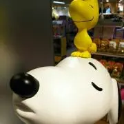 ぴよこの画像