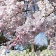 引っ越しに伴う断捨離中ですの画像