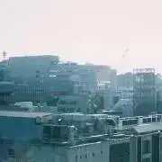 れ
