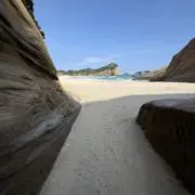 淵ジョン・レノ太の画像