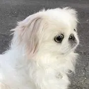 熱川のじいちゃん