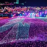 金魚の画像
