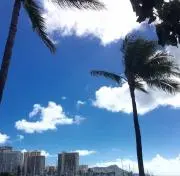 CHI-chanの画像
