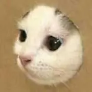 すぎちゃん　プロフィ**必読**
