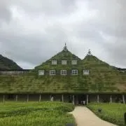 ®️