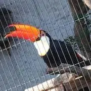 RIAの画像