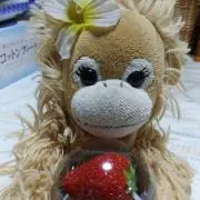 Image of はな