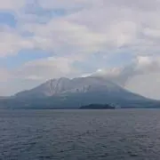 セイジの画像