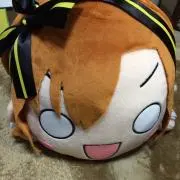 トギーの画像